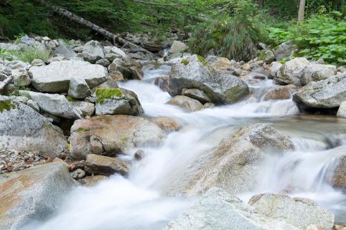 priroda 2016 tatry05