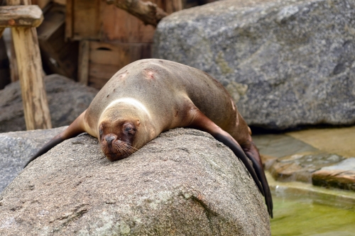 zoo 2015 02